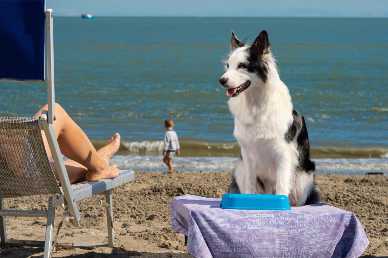 Vakantiehuis Albarella -happy Albarella Island